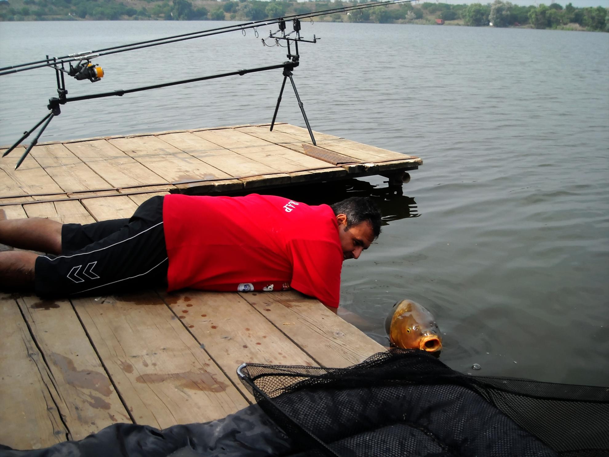 Best-2010 - dscn7389compressor.jpg